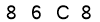 salt-6F8A8634