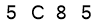 salt-42832025