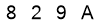 salt-188E7F46