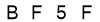 salt-71C4DE8F