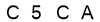 salt-C49B623B