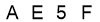 salt-E704532B
